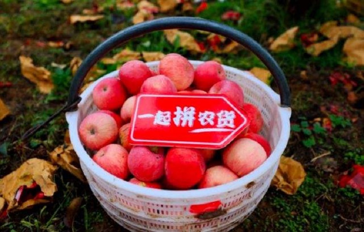 广州生鲜水果冷藏仓库
